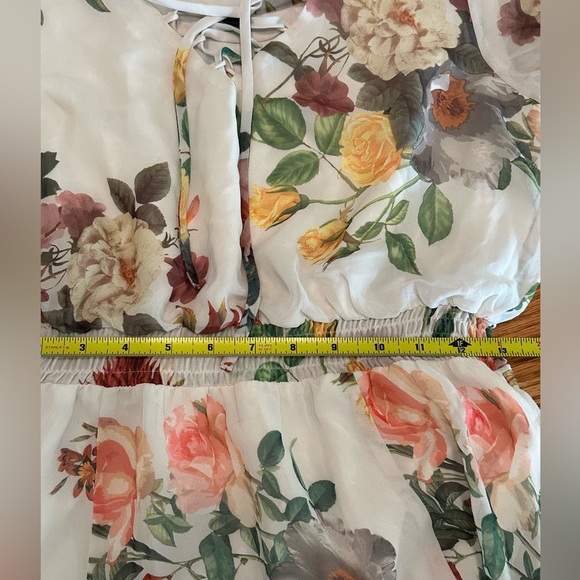 Belle and Sky Sheer Romantic Long Sleeves Elastic Shirred Waistband Maxi Dress - Picture 6 of 7